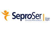SeproSer. Servicios profesionales y proyectos
